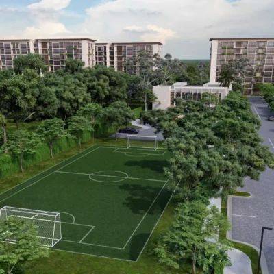 soccer-field